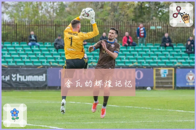 舍瓦的辉煌记忆